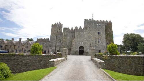 Castles in Kildare