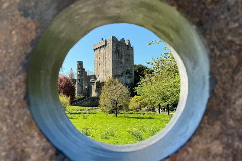 Castles In Kinsale 