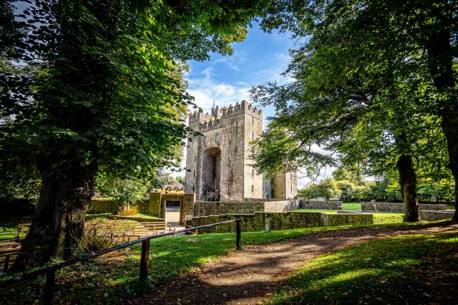 Castles In Shannonbridge 